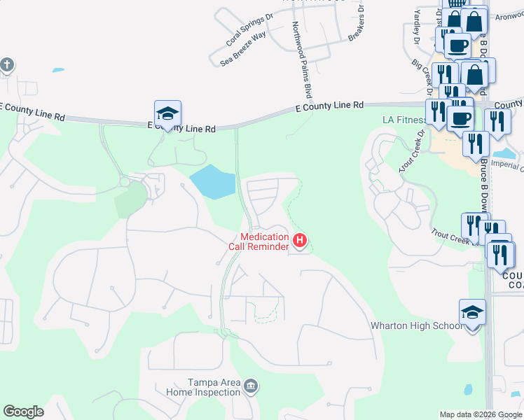 map of restaurants, bars, coffee shops, grocery stores, and more near 20414 Berrywood Lane in Tampa