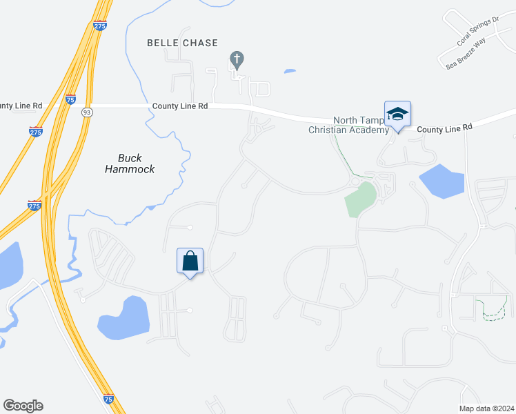 map of restaurants, bars, coffee shops, grocery stores, and more near 20345 Chestnut Grove Drive in Tampa