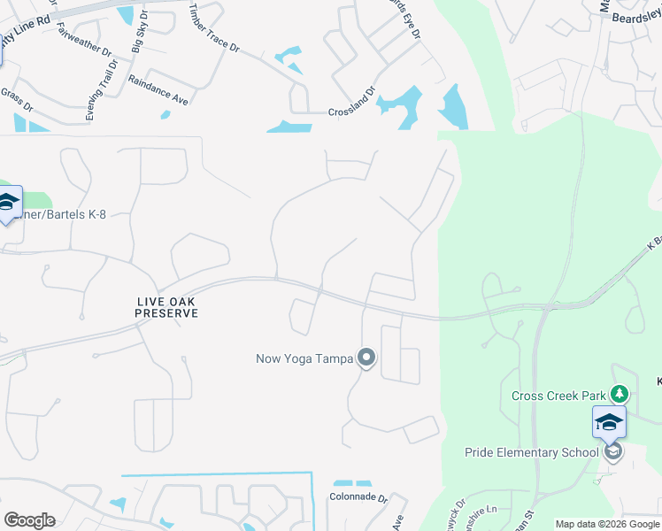 map of restaurants, bars, coffee shops, grocery stores, and more near 20207 Regal Fern Court in Tampa