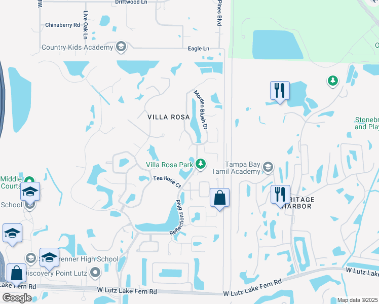 map of restaurants, bars, coffee shops, grocery stores, and more near 4606 Purple Tiger Court in Lutz
