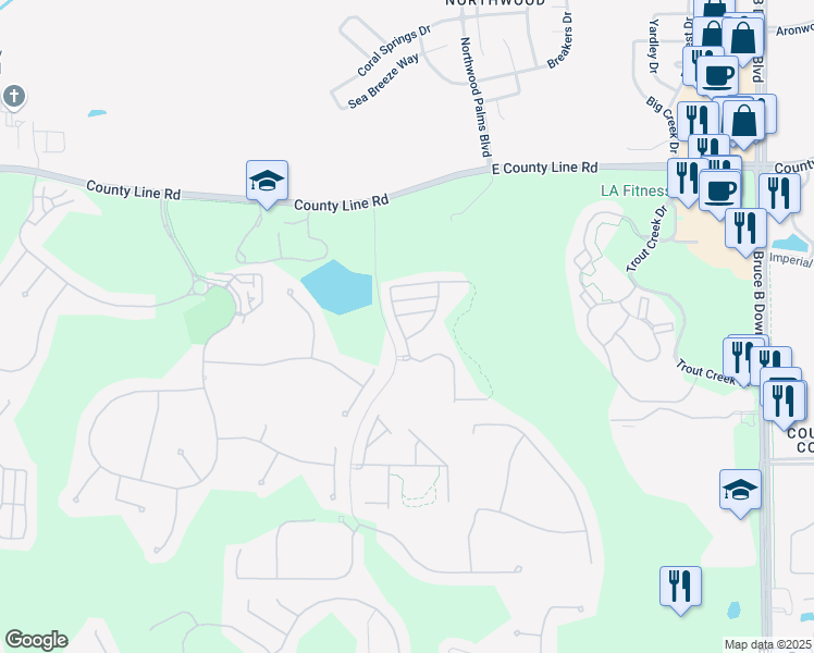 map of restaurants, bars, coffee shops, grocery stores, and more near 20431 Needletree Drive in Tampa