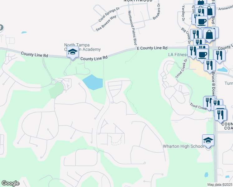 map of restaurants, bars, coffee shops, grocery stores, and more near 20424 Berrywood Lane in Tampa