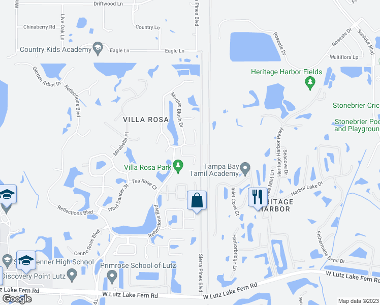 map of restaurants, bars, coffee shops, grocery stores, and more near 4519 Wild Plum Lane in Lutz