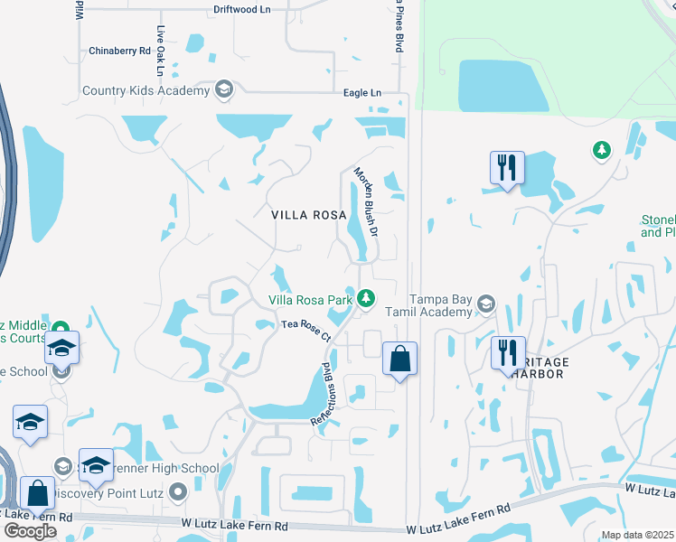 map of restaurants, bars, coffee shops, grocery stores, and more near 4606 Purple Tiger Court in Lutz
