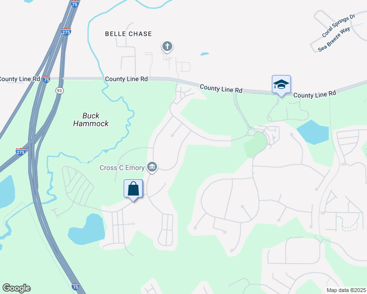 map of restaurants, bars, coffee shops, grocery stores, and more near 20345 Chestnut Grove Drive in Tampa