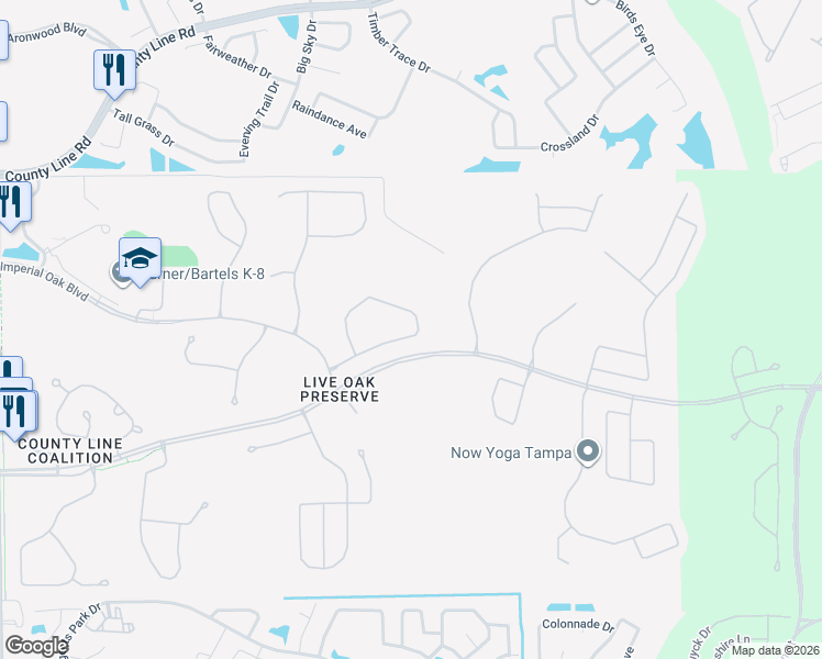 map of restaurants, bars, coffee shops, grocery stores, and more near 20619 Longleaf Pine Avenue in Tampa