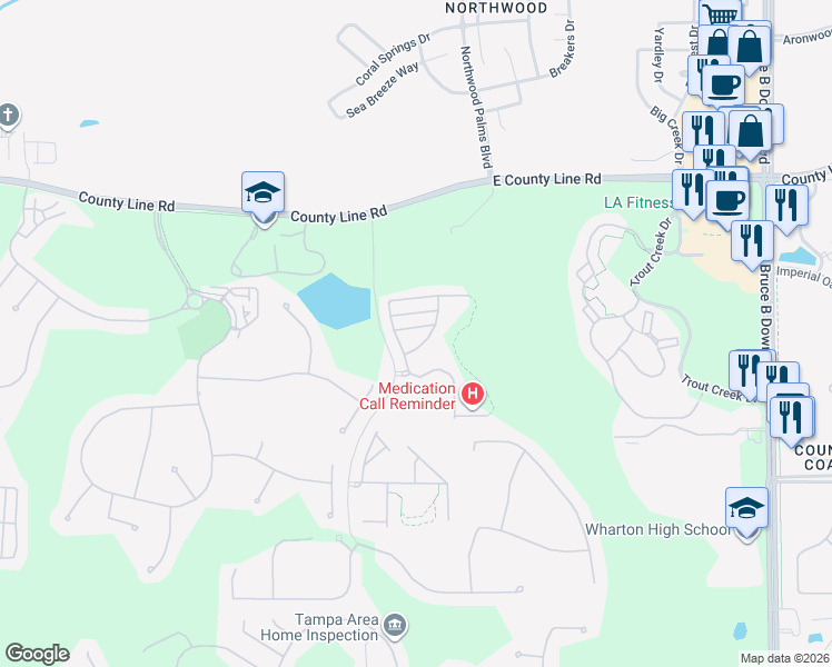 map of restaurants, bars, coffee shops, grocery stores, and more near 20429 Berrywood Lane in Tampa