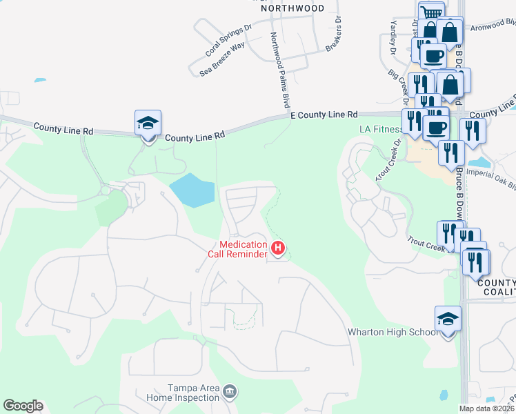 map of restaurants, bars, coffee shops, grocery stores, and more near 20429 Berrywood Lane in Tampa