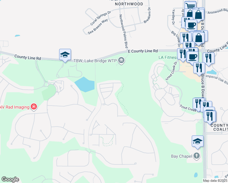 map of restaurants, bars, coffee shops, grocery stores, and more near 20429 Berrywood Lane in Tampa