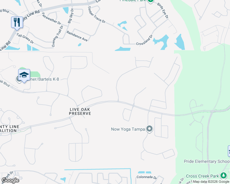 map of restaurants, bars, coffee shops, grocery stores, and more near 20225 Merry Oak Avenue in Tampa