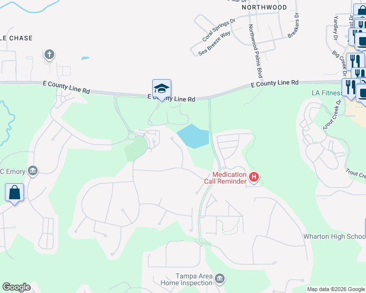 map of restaurants, bars, coffee shops, grocery stores, and more near 20419 Walnut Grove Lane in Tampa