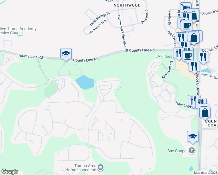 map of restaurants, bars, coffee shops, grocery stores, and more near 8552 Brushleaf Way in Tampa