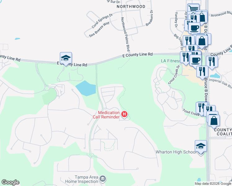 map of restaurants, bars, coffee shops, grocery stores, and more near 8552 Brushleaf Way in Tampa