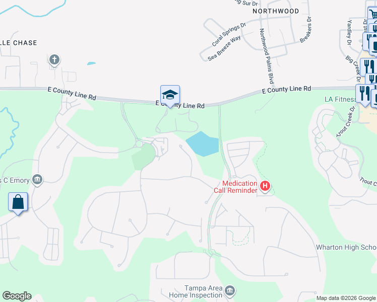 map of restaurants, bars, coffee shops, grocery stores, and more near 20419 Walnut Grove Lane in Tampa