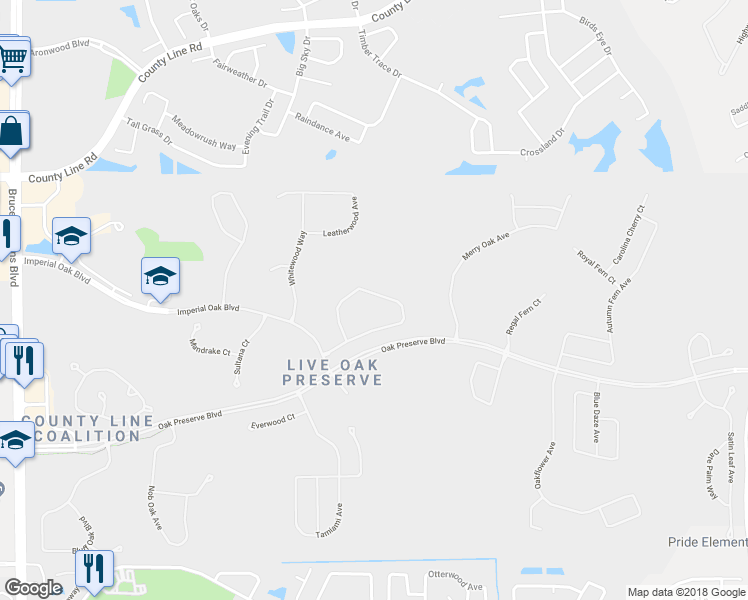 map of restaurants, bars, coffee shops, grocery stores, and more near 20646 Longleaf Pine Avenue in Tampa