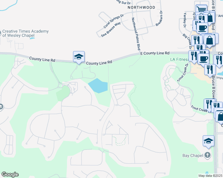 map of restaurants, bars, coffee shops, grocery stores, and more near 8503 Trail Wind Drive in Tampa