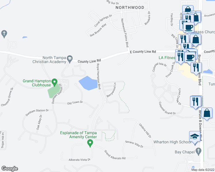 map of restaurants, bars, coffee shops, grocery stores, and more near 8519 Brushleaf Way in Tampa