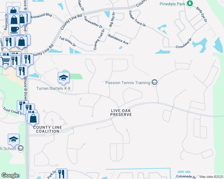 map of restaurants, bars, coffee shops, grocery stores, and more near 20613 Whitewood Way in Tampa