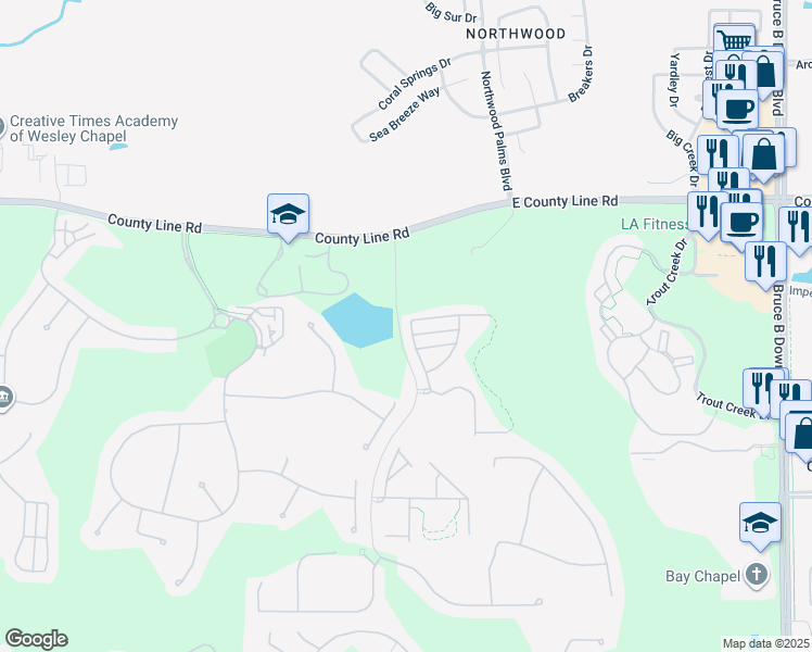 map of restaurants, bars, coffee shops, grocery stores, and more near 8503 Trail Wind Drive in Tampa