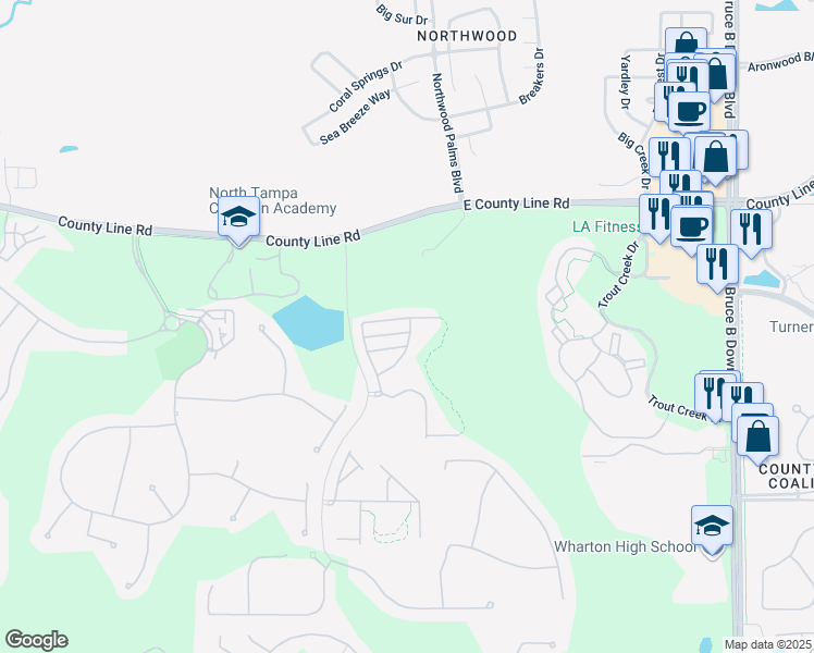 map of restaurants, bars, coffee shops, grocery stores, and more near 8552 Brushleaf Way in Tampa