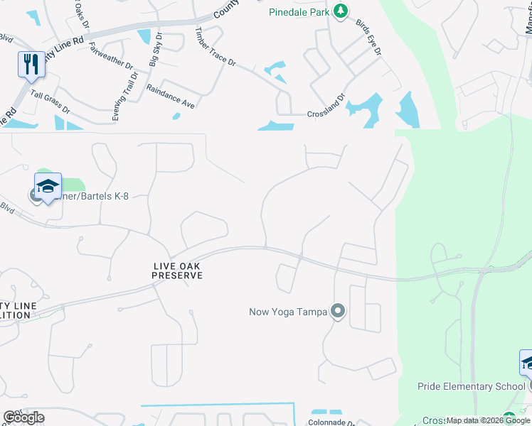 map of restaurants, bars, coffee shops, grocery stores, and more near 20225 Merry Oak Avenue in Tampa