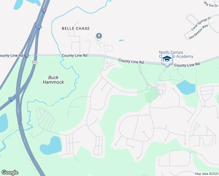 map of restaurants, bars, coffee shops, grocery stores, and more near 20354 Chestnut Grove Drive in Tampa