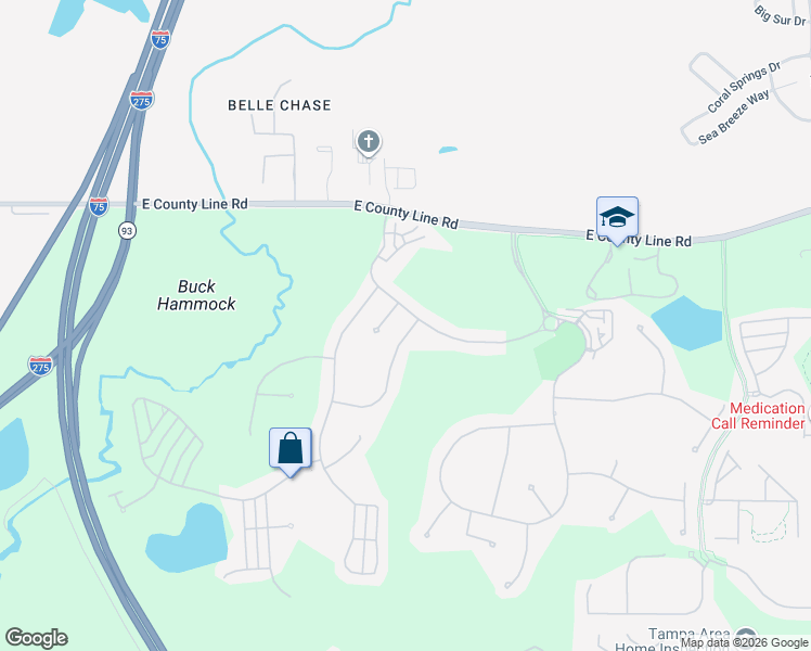 map of restaurants, bars, coffee shops, grocery stores, and more near 20354 Chestnut Grove Drive in Tampa