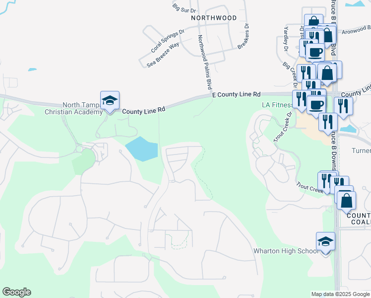 map of restaurants, bars, coffee shops, grocery stores, and more near 8552 Brushleaf Way in Tampa