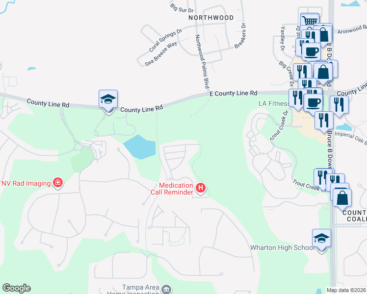 map of restaurants, bars, coffee shops, grocery stores, and more near 8552 Brushleaf Way in Tampa