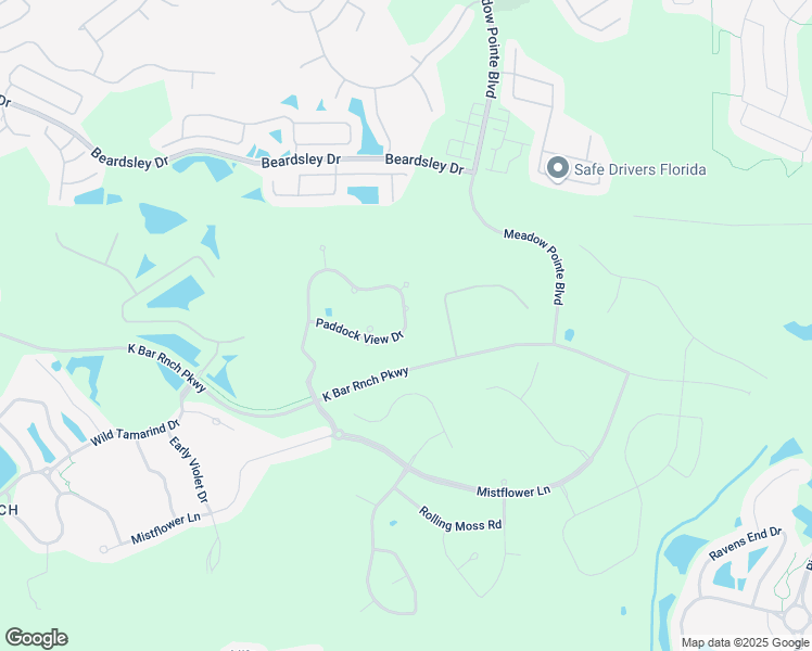 map of restaurants, bars, coffee shops, grocery stores, and more near 19455 Paddock View Drive in Tampa