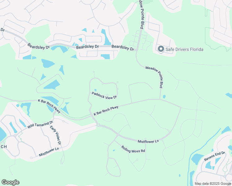 map of restaurants, bars, coffee shops, grocery stores, and more near 19455 Paddock View Drive in Tampa