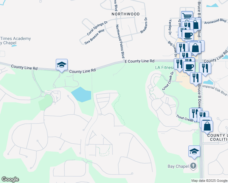 map of restaurants, bars, coffee shops, grocery stores, and more near 8552 Brushleaf Way in Tampa