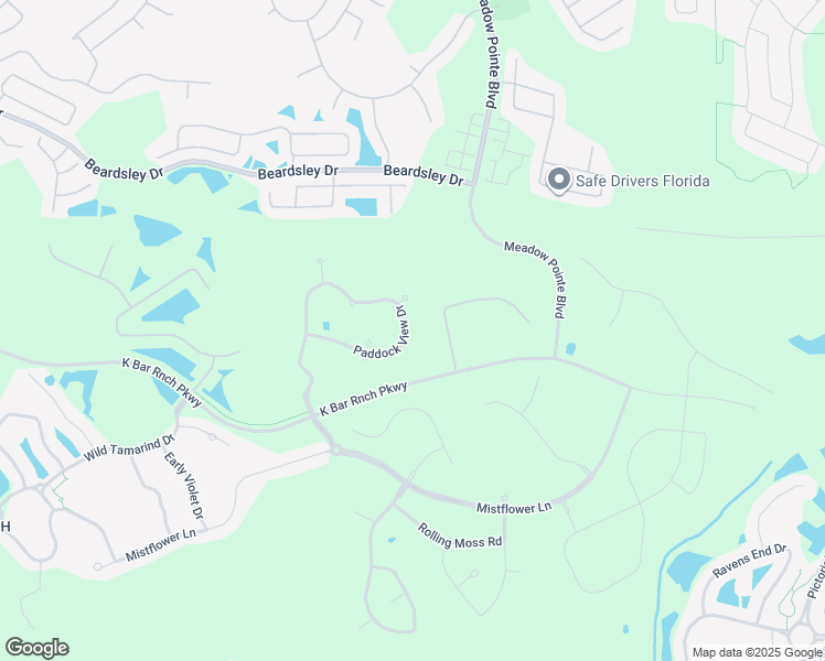 map of restaurants, bars, coffee shops, grocery stores, and more near 19446 Paddock View Drive in Tampa