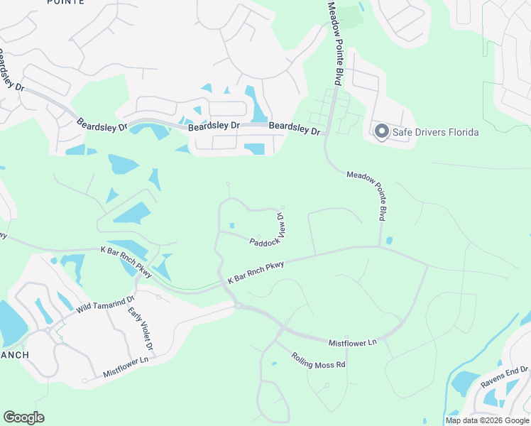 map of restaurants, bars, coffee shops, grocery stores, and more near 19431 Paddock View Drive in Tampa