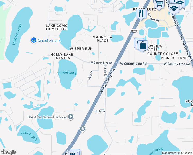 map of restaurants, bars, coffee shops, grocery stores, and more near 20004 Holly Lake Place in Lutz