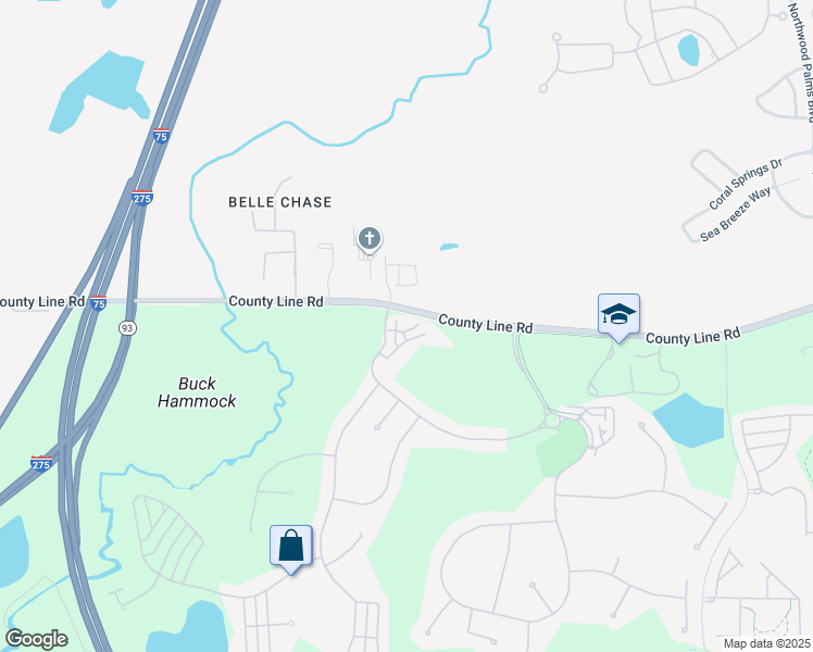 map of restaurants, bars, coffee shops, grocery stores, and more near 20506 Vista Manor Way in Tampa
