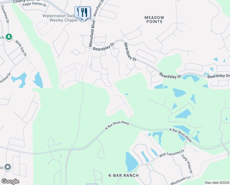 map of restaurants, bars, coffee shops, grocery stores, and more near 1016 Blackwater Drive in Wesley Chapel