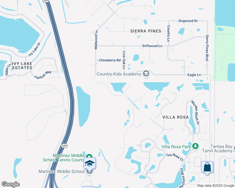 map of restaurants, bars, coffee shops, grocery stores, and more near 5413 Garden Arbor Drive in Lutz