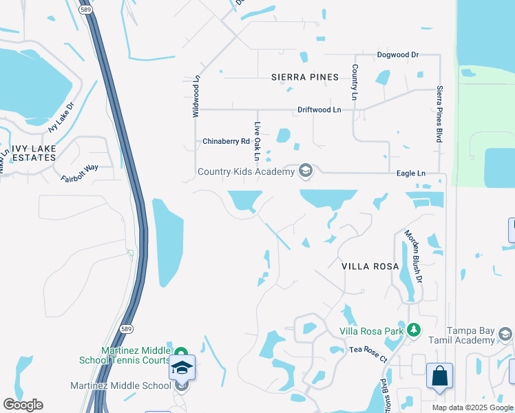 map of restaurants, bars, coffee shops, grocery stores, and more near 5413 Garden Arbor Dr in Lutz