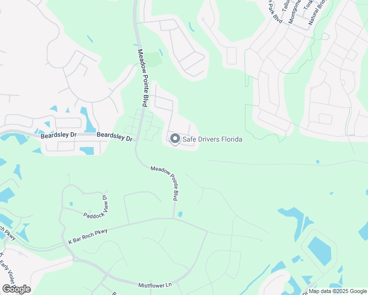 map of restaurants, bars, coffee shops, grocery stores, and more near 31900 Turkeyhill Drive in Wesley Chapel