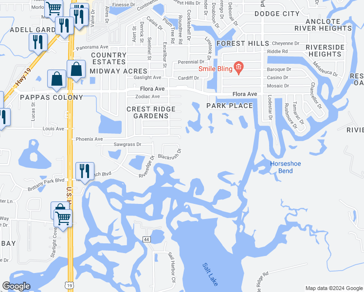 map of restaurants, bars, coffee shops, grocery stores, and more near 1253 Blackrush Drive in Tarpon Springs
