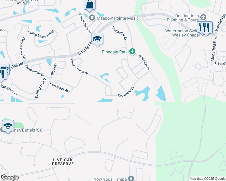 map of restaurants, bars, coffee shops, grocery stores, and more near 1109 Timber Trace Drive in Zephyrhills