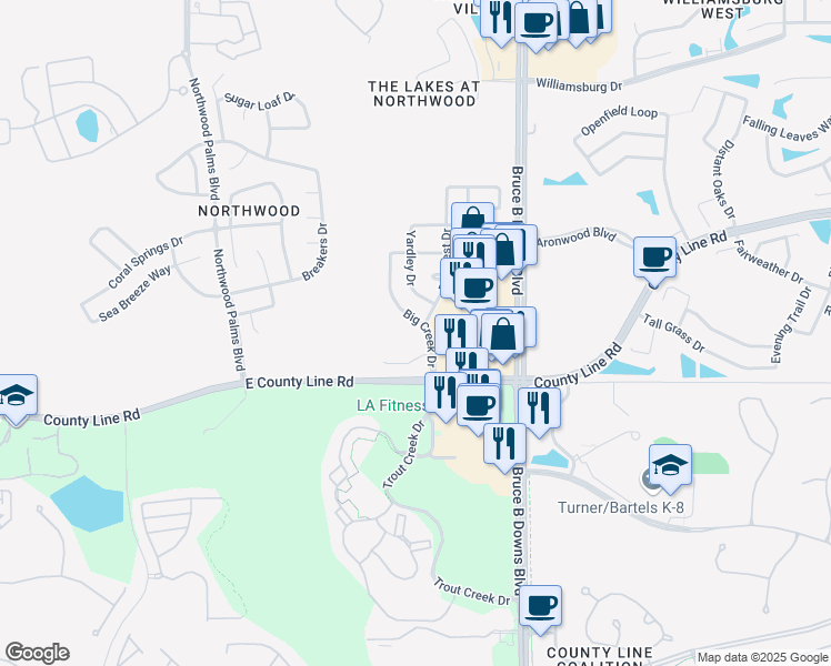 map of restaurants, bars, coffee shops, grocery stores, and more near 1113 Big Creek Drive in Wesley Chapel