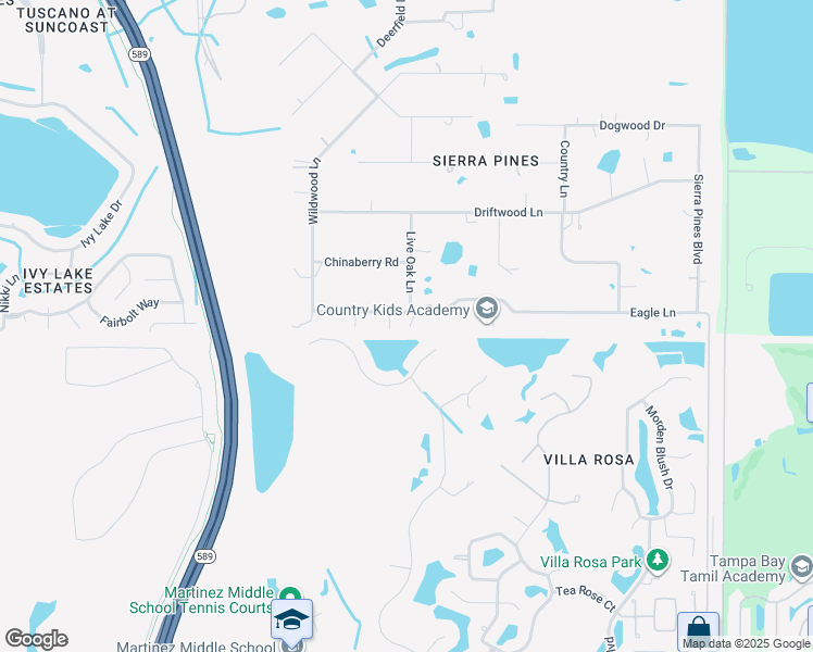 map of restaurants, bars, coffee shops, grocery stores, and more near 17400 Eagle Lane in Lutz