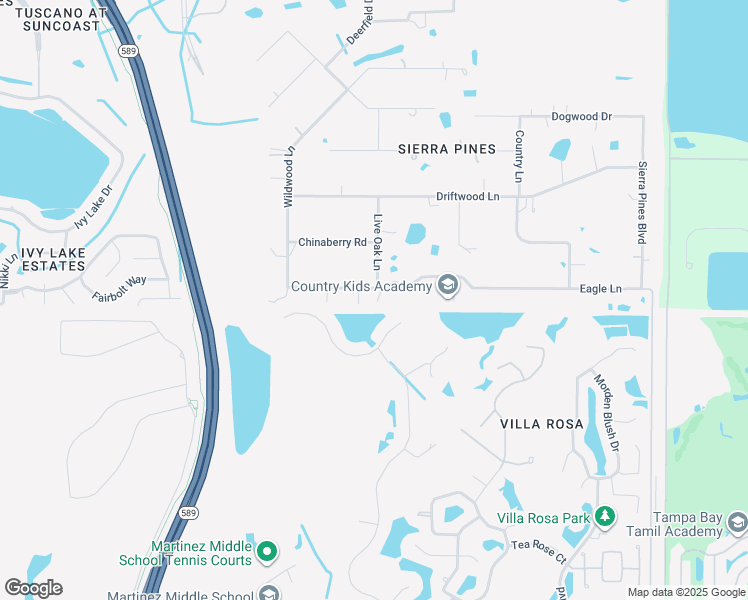 map of restaurants, bars, coffee shops, grocery stores, and more near 17400 Eagle Lane in Lutz
