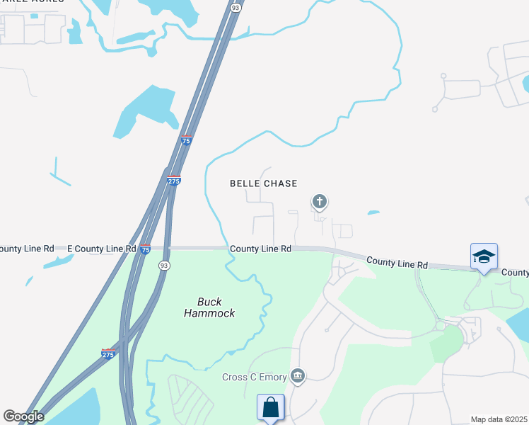 map of restaurants, bars, coffee shops, grocery stores, and more near 1129 Napolean Way in Wesley Chapel