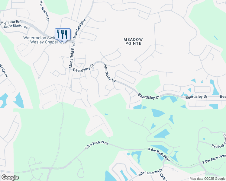 map of restaurants, bars, coffee shops, grocery stores, and more near 1136 Sleepy Oak Drive in Wesley Chapel
