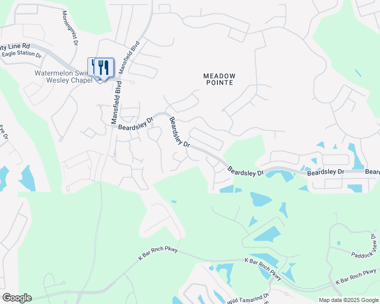 map of restaurants, bars, coffee shops, grocery stores, and more near 1142 Hillhurst Drive in Wesley Chapel