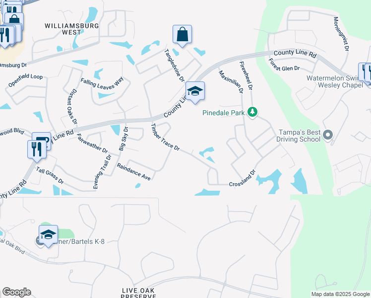 map of restaurants, bars, coffee shops, grocery stores, and more near 1216 Timber Trace Drive in Zephyrhills