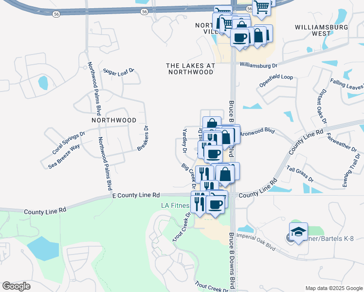 map of restaurants, bars, coffee shops, grocery stores, and more near 1235 Yardley Drive in Wesley Chapel